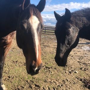 Meet your Posher, Emma